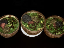 Load image into Gallery viewer, STFU BATH