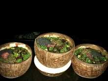 Load image into Gallery viewer, STFU BATH