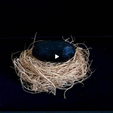 Load image into Gallery viewer, https://www.magisto.com/e/player/PQ8YOVsFQy81RAJpY1A?1.0000
