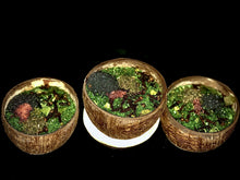 Load image into Gallery viewer, STFU BATH
