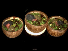 Load image into Gallery viewer, STFU BATH
